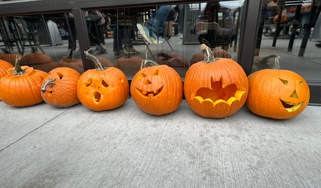 A lineup of finished pumpkins along the patio wall, faces, a bat and a ghost